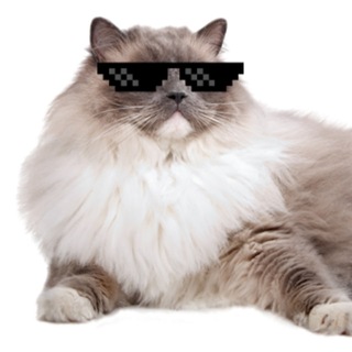 Telegram profile photo for EzBonus Chat