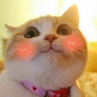 Telegram profile photo for Оля б. нервно шутит