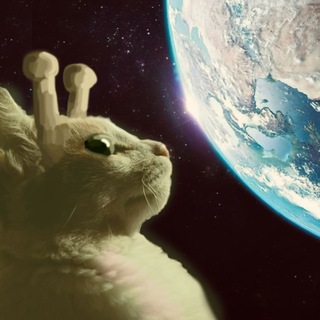 Telegram profile photo for Energу Cats 🌍