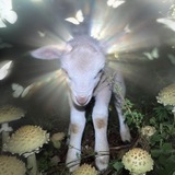 Telegram profile photo for Что