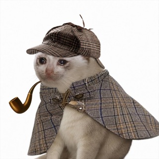 Telegram profile photo for pipecat - Portal