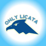 Telegram profile photo for ππ§π₯π² ππ’ππππ| ππ‘ππ§π§ππ₯