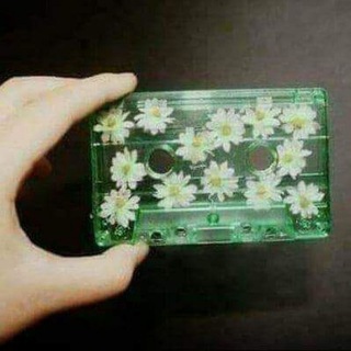 Telegram profile photo for أقحوان-Chrysanthemum.
