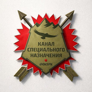 Telegram profile photo for Канал специального назначения
