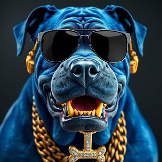 Telegram profile photo for Азартный Shargon💸