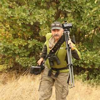 Telegram profile photo for Iran: Wildlife, Nature, Photography & Ecology