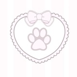 Telegram profile photo for sarang ryu