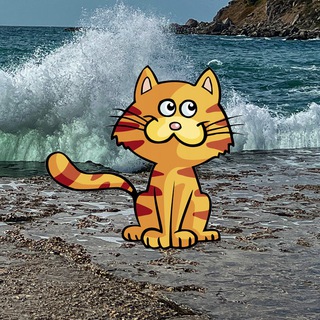 Telegram profile photo for Моль Николай