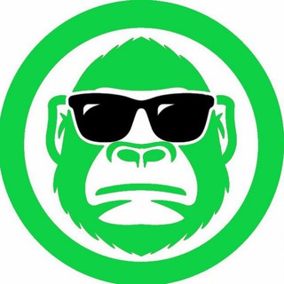 Telegram profile photo for 🦧APED GEMS CALLS💯🦧