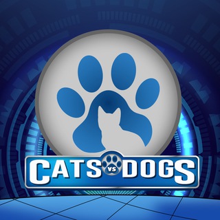 Telegram profile photo for CatsVsDogs - Cats Vs Dogs Entry