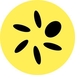 Telegram group profile photo for Pera.Algo Wallet