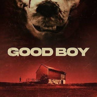 Telegram profile photo for Good boY