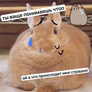 Telegram profile photo for Студия можжевельницы