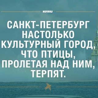Telegram profile photo for Петербургский юмор