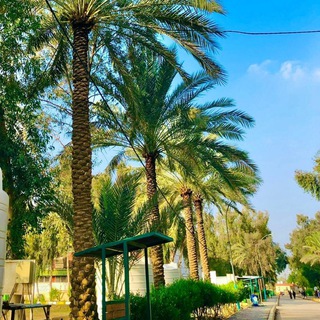 Telegram profile photo for وضائف القطاع الخاص