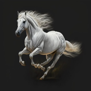 Telegram profile photo for Время новостей