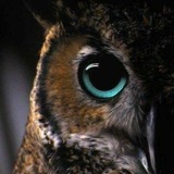Telegram profile photo for مَـتـىٰ سيـحيِن اللقـاء³¹³ ♥️!.