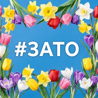 Telegram profile photo for Затоновости Саров