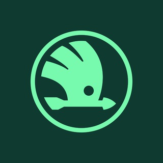Telegram group profile photo for Skodaverse India