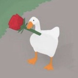 Telegram profile photo for مصايب الامتحانات