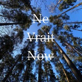 Telegram profile photo for Ne Vrait Now