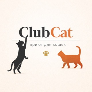 Telegram profile photo for Кошки ClubCat | СПб