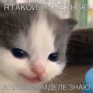 Telegram profile photo for Не стыдно показать маме!