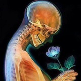 Telegram profile photo for قسم الأشعة radiology_ x_ray CT_ MRI ☢☢