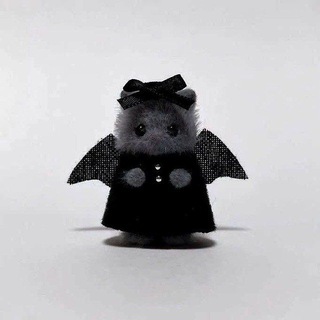Telegram profile photo for 𝔈𝔯𝔢𝔩