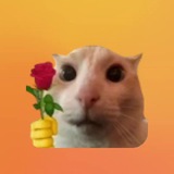 Telegram profile photo for Классный канал👍👍👍