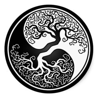 Telegram profile photo for *rünö*