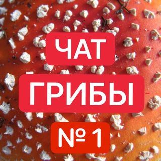 Telegram group profile photo for №1 Muhomorspace.ru ГРИБОЕДЫ Чат - Мухоморы 🍄🍄🍄 16 + ГРИБНИКИ пантерный ежовик кордицепс мака перуанская мукуна бады здоровье йог