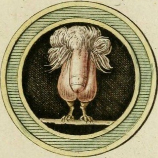 Telegram profile photo for Хуй сдох, да здравствует хуй!