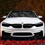 Telegram profile photo for Вечерний прогулки