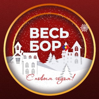 Telegram profile photo for ВЕСЬ БОР | Новости города Бор