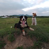 Telegram profile photo for 🐾Двое в поле🥏