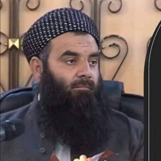 Telegram profile photo for وتارەکانی م.رمضان شكور رحمە الله