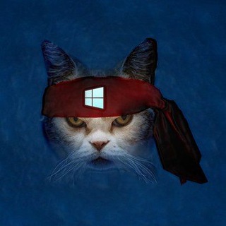 Telegram profile photo for Ключи для Windows 11, 10, 7, Офисов🤑