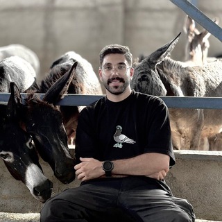 Telegram profile photo for ehsan tj
