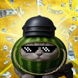 Telegram profile photo for rep @panicvoice