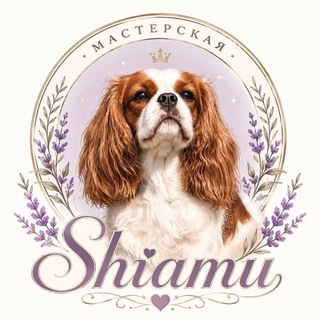 Telegram profile photo for shiamu