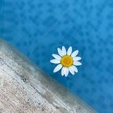 Telegram profile photo for قناة أسماء جسري