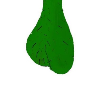 Telegram group profile photo for $NUTS
