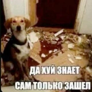 Telegram profile photo for Переходник Экзорцистов