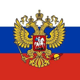 Telegram profile photo for covfefe