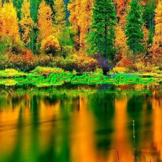 Telegram profile photo for 🌴سَلسَبیل🌳