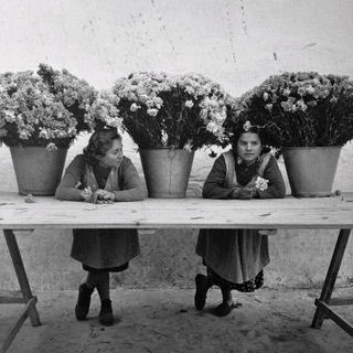 Telegram profile photo for Флористы Florist 🌷 Вакансии и Кандидаты | headhunter 🌸 Работа в Цветочной Сфере