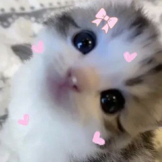 Telegram profile photo for 🎀комфортик🎀