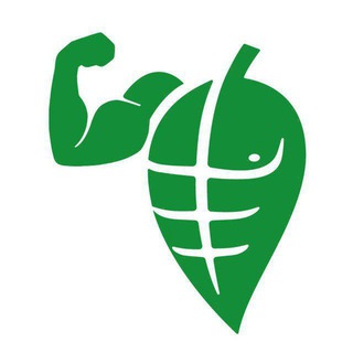 Telegram profile photo for Dr.fit
