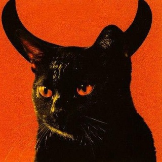 Telegram profile photo for СОХРЫ ПИКЧИ 🌊